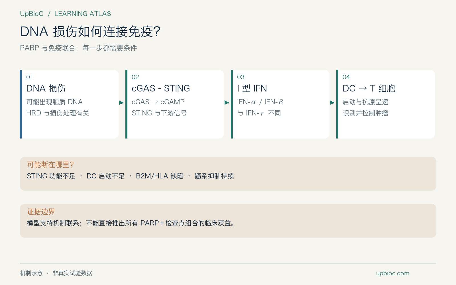 DNA 损伤连接先天免疫与 T 细胞的条件